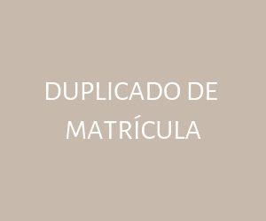 Duplicado de Matrícula de Vehículo