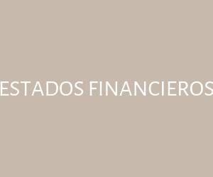Estados Financieros