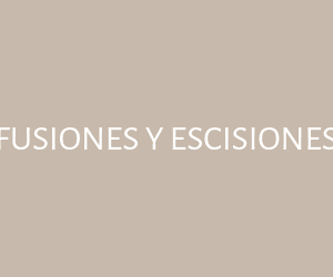 Fusiones y Escisiones
