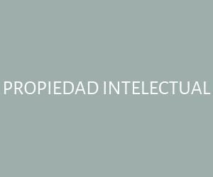 PROPIEDAD INTELECTUAL
